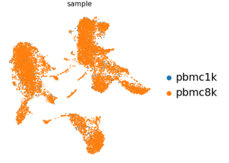 UMAP coloured by sample